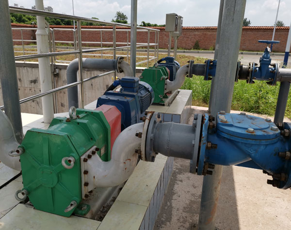 凸輪式雙轉(zhuǎn)子泵的安裝注意事項