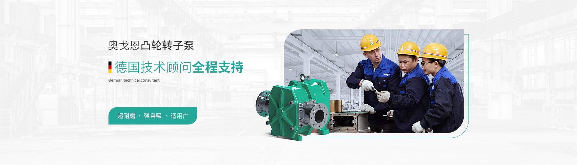 奧戈恩凸輪轉(zhuǎn)子泵研發(fā)生產(chǎn)廠(chǎng)家