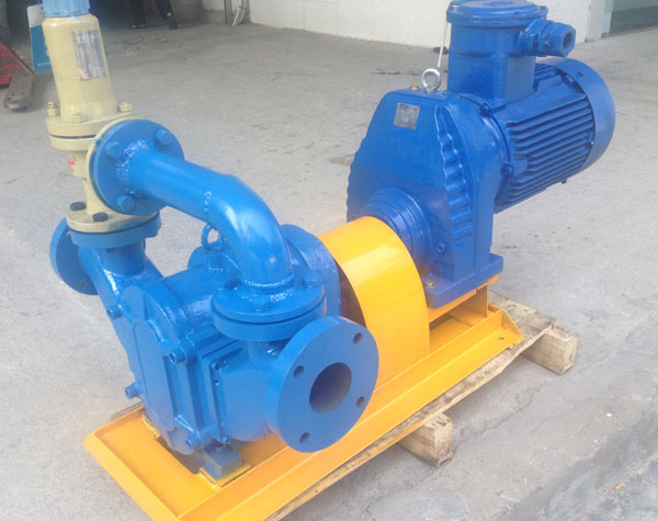 無(wú)堵塞轉(zhuǎn)子泵的優(yōu)點(diǎn)都有哪些