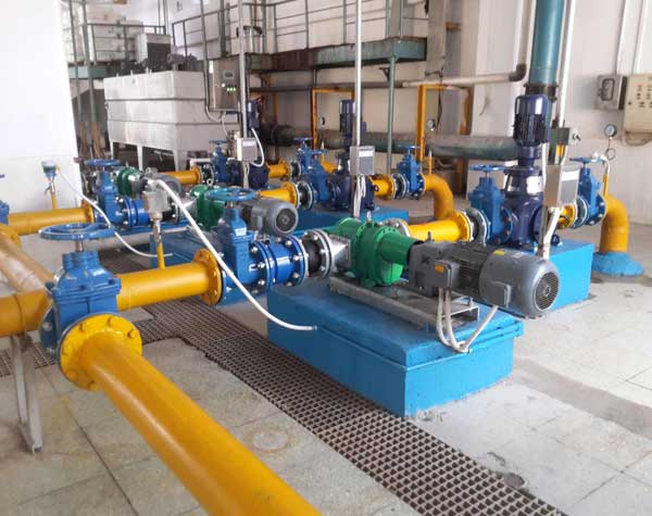 凸輪式雙轉(zhuǎn)子泵